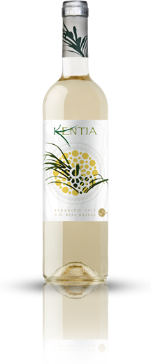 KENTIA ALBARIÑO 2017 - Bk Wine Depot Corp