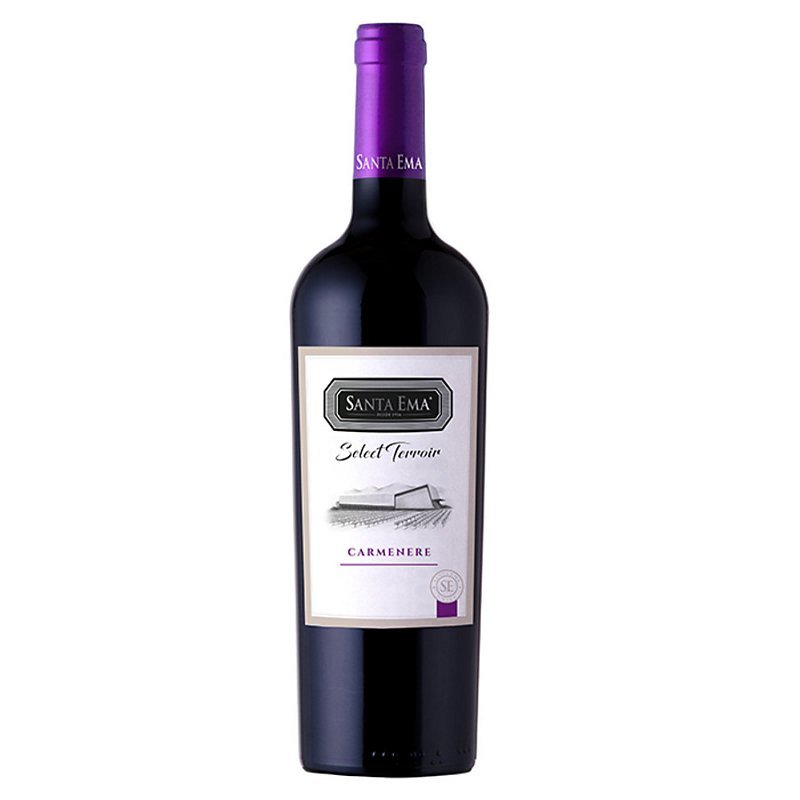 Santa Ema Select Terroir Carmenere - Bk Wine Depot Corp