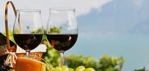 BELVEDERE ORGANIC INFUSIONS LEMON & BASIL VODKA – Bk Wine Depot Corp