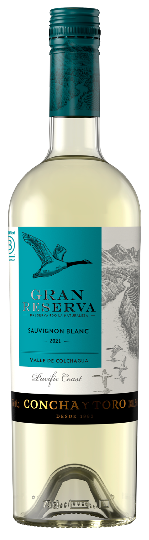 Conchay Toro Grand Reserva Sauvignon Blanc- bk wine depott corp
